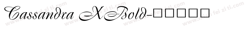 Cassandra XBold字体转换